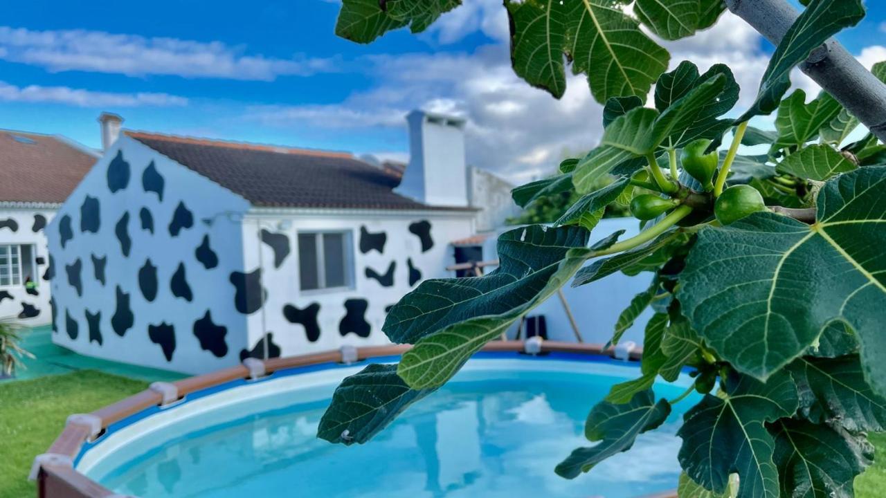 Azores Cow House Calhetas Exteriér fotografie