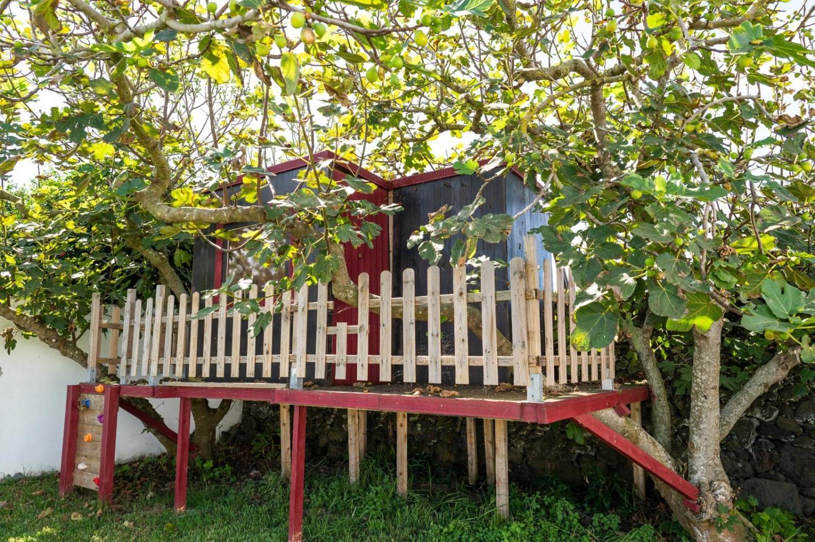 Azores Cow House Calhetas Exteriér fotografie